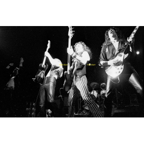 Iron Maiden Steve in Front 