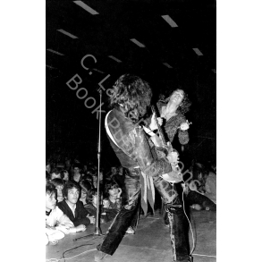 Jimmy Page & Robert Plant Art Print